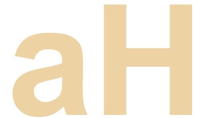 Noah Agency